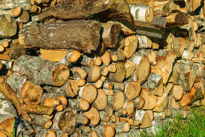 Prepared firewood for the winter heating period, energy crisis, expensive heating