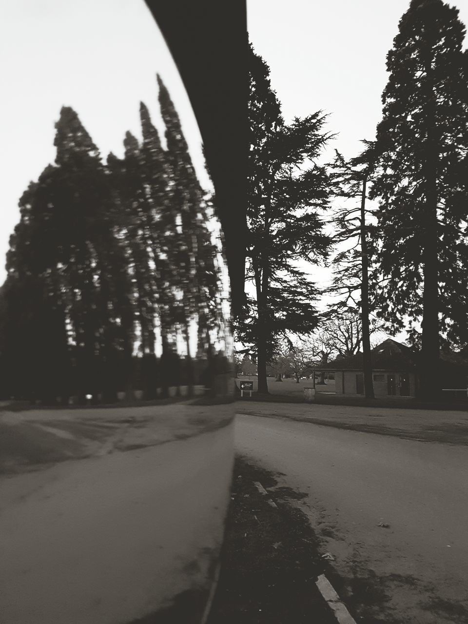 ROAD AMIDST TREES AGAINST SKY