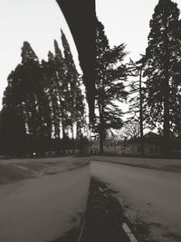 Road amidst trees against clear sky