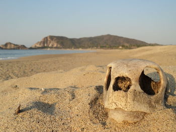 Close-up of sand on beach against clear sky