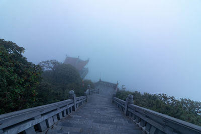 Rear view of man swimming in sea