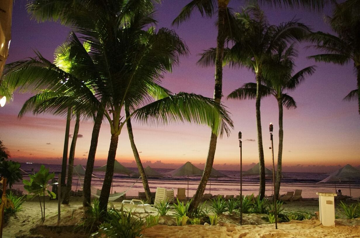 palm tree, sea, water, tree, beach, horizon over water, tranquility, tranquil scene, scenics, sunset, beauty in nature, shore, nature, growth, sky, idyllic, tree trunk, sand, clear sky, tourist resort