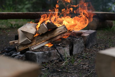 Close-up of fire burning on wood