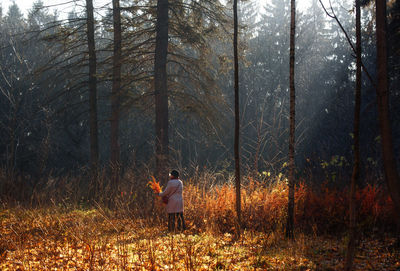 Rear view of woman standing in forest