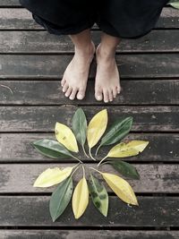 Low section of person standing on leaves