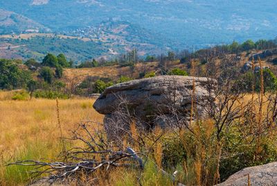 Scenic view of landscape