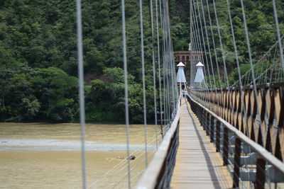 Footbridge amidst trees in forest