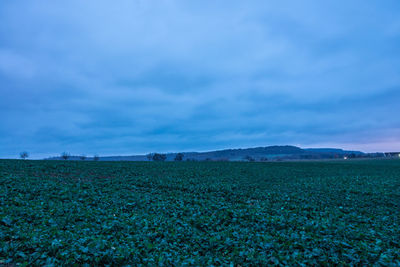 Scenic view of field against blue sky