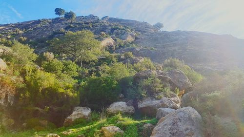 Scenic view of mountain against sky