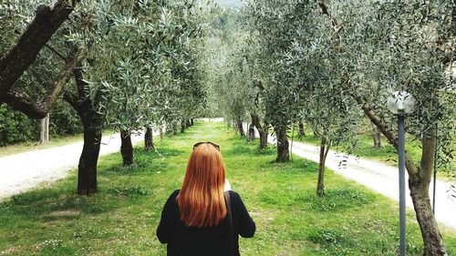 Rear view of woman standing by tree trunk