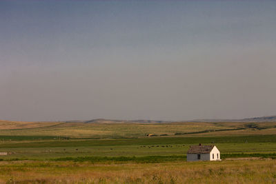 Scenic view of field against clear sky