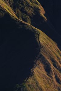 High angle view of trees on field against sky