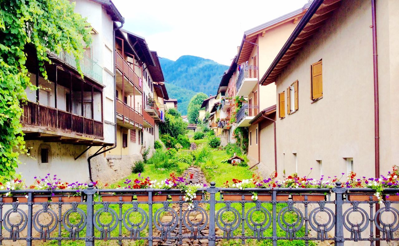 architecture, building exterior, built structure, house, residential structure, potted plant, railing, plant, flower, residential building, balcony, growth, window, clear sky, day, nature, no people, sky, outdoors, building