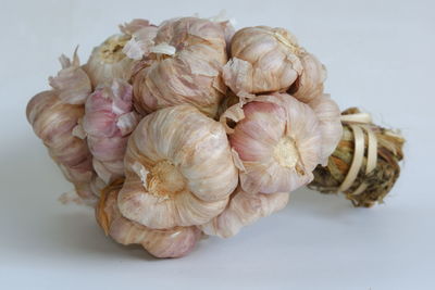Close-up of roasted coffee beans against white background