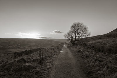 Bare trees on field against sky