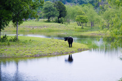 View of a lake