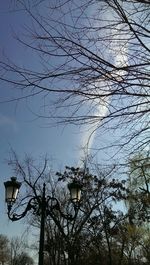 Low angle view of bare tree against sky