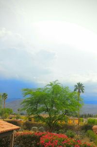 Scenic view of field against cloudy sky