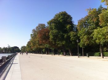 View of footpath along trees