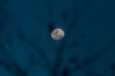 Low angle view of moon against blue sky