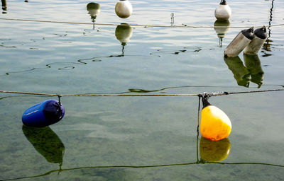 High angle view of floating on water