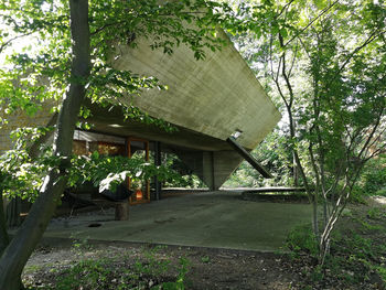 House and trees in park