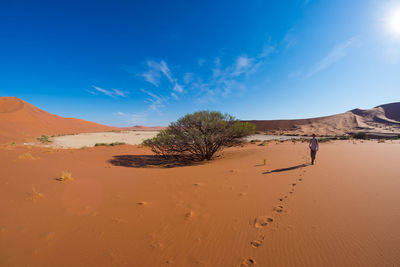 Scenic view of desert against blue sky