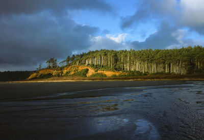 Scenic view of beach against sky