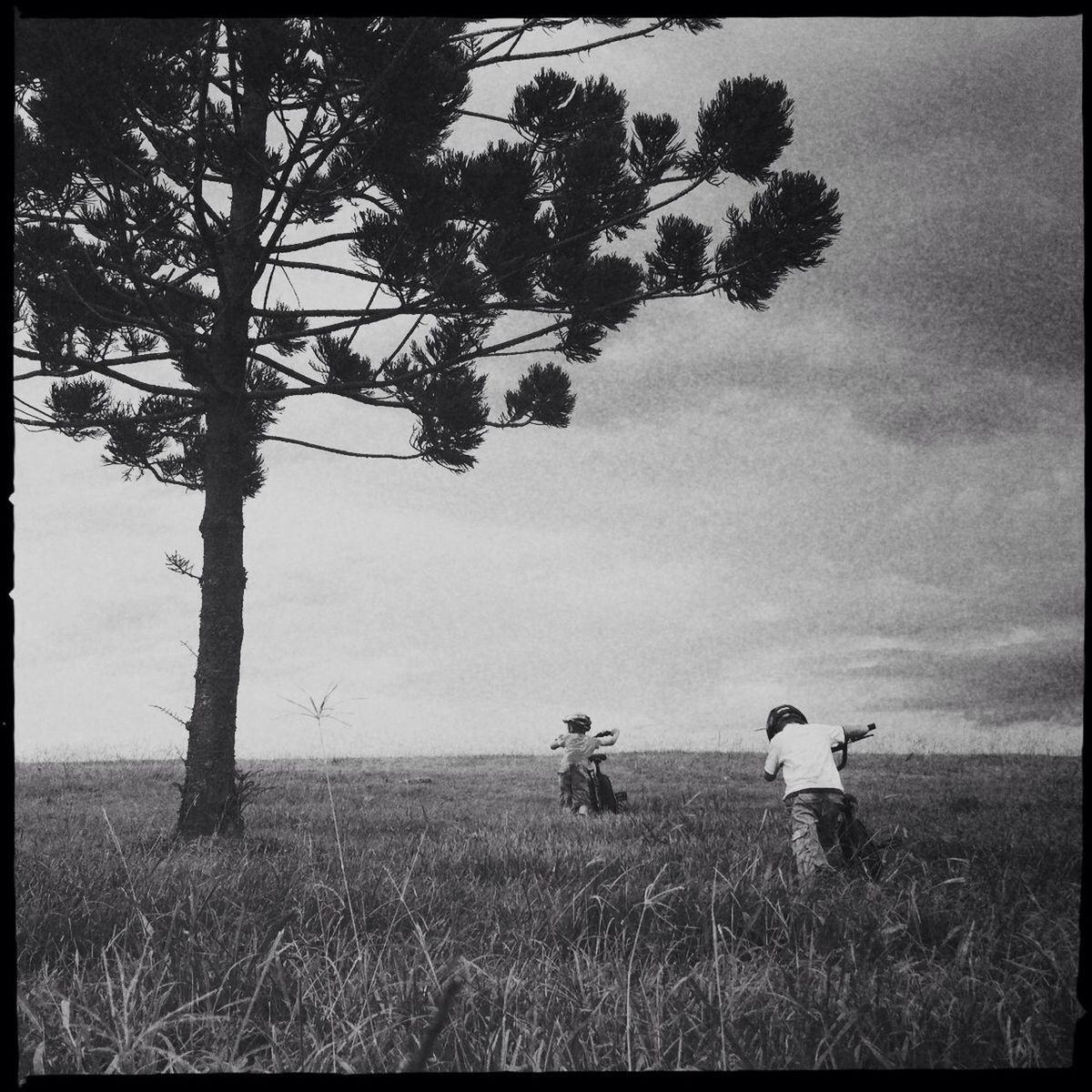 transfer print, auto post production filter, grass, field, tree, sky, lifestyles, leisure activity, landscape, full length, men, growth, nature, tranquility, grassy, tranquil scene, day