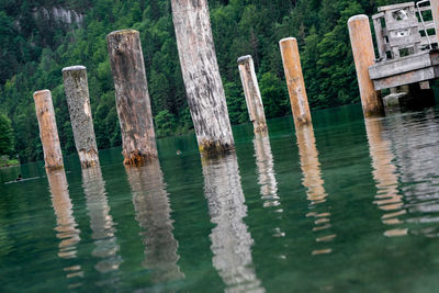 Close-up of wooden posts in lake