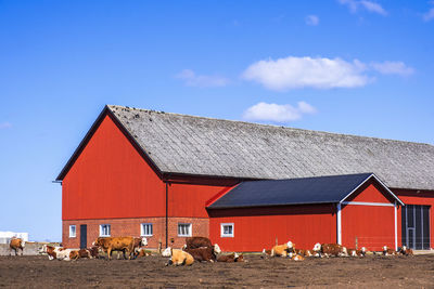 Red barn with a herd of cattle