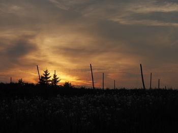 Silhouette trees on field against sky at sunset