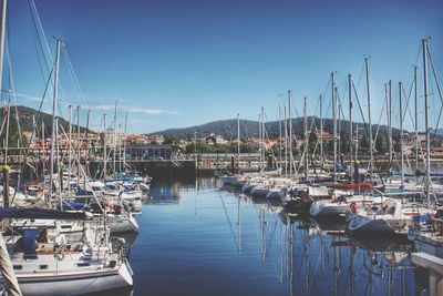 Sailboats moored at harbor against sky