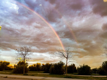 rainbow