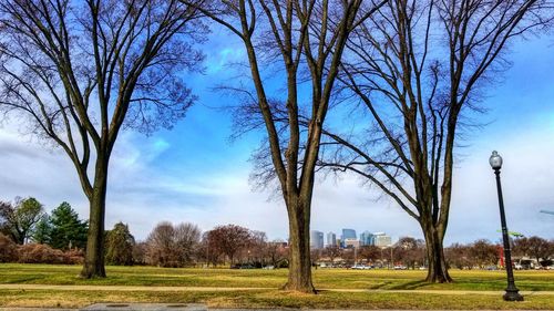 Bare trees on field against sky