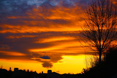 Low angle view of silhouette trees against dramatic sky