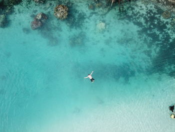 High angle view of ducks swimming in sea