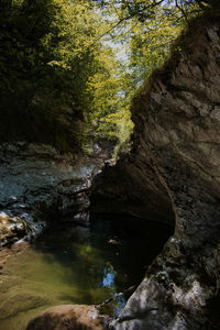Stream flowing through rocks in forest