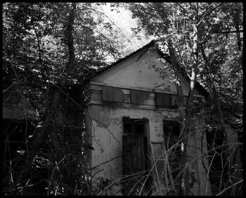 Abandoned house amidst trees in forest