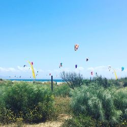 Parachutes over plants against sky