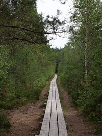 Walkway amidst trees in forest against sky