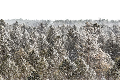 View of snow covered land