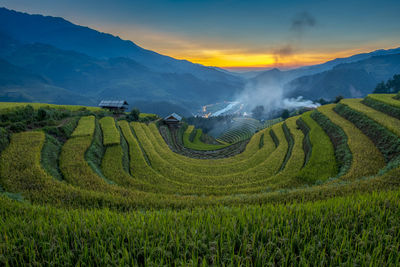 Scenic view of agricultural field against sky