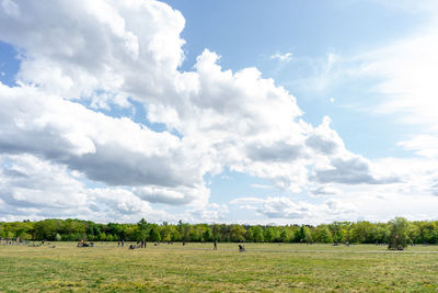 Scenic view of field against sky