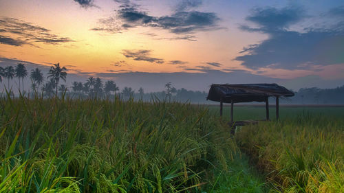 Lifeguard hut on field against sky during sunset