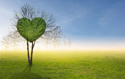 Green field with heart shape tree under blue sky. beauty nature,for good environment.