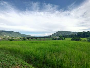 Scenic view of agricultural field against sky