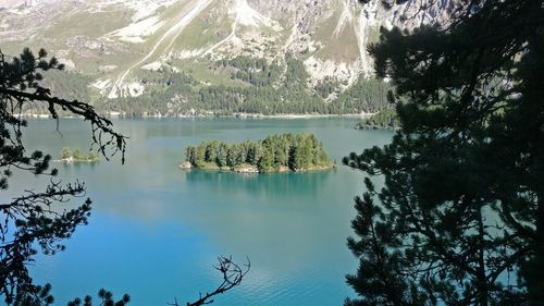 Scenic view of lake by trees against sky