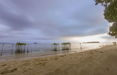 Scenic view of beach against sky
