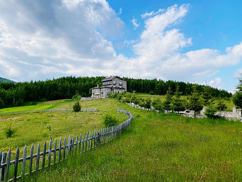 Panoramic shot of trees on field against sky